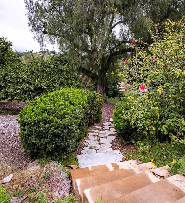 436 Montana Luna Ct, Escondido, CA 92025 - photo 49