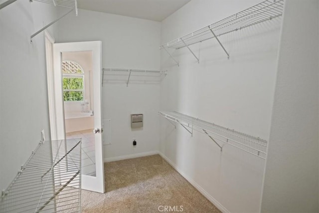 27045 Fairway Ln, Valencia, CA 91381 - spacious closet with light carpet