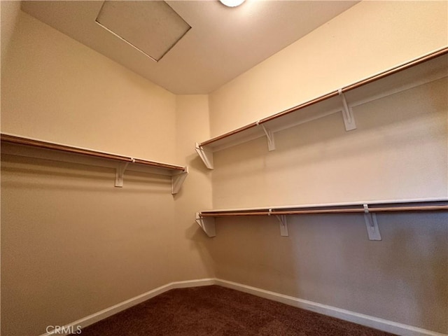 24212 Nobe St, Corona, CA 92883 - walk in closet featuring dark colored carpet and attic access
