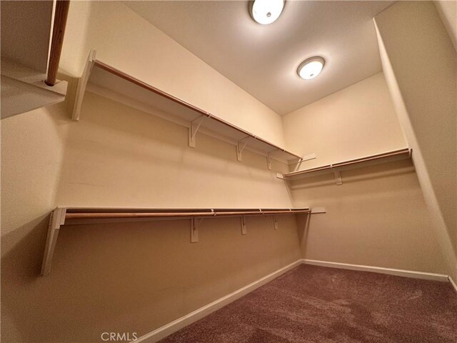 24212 Nobe St, Corona, CA 92883 - spacious closet featuring dark colored carpet