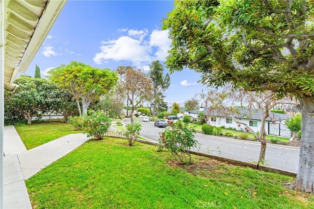 9818 Capulet Ave, Whittier, CA 90603 - view of green lawn