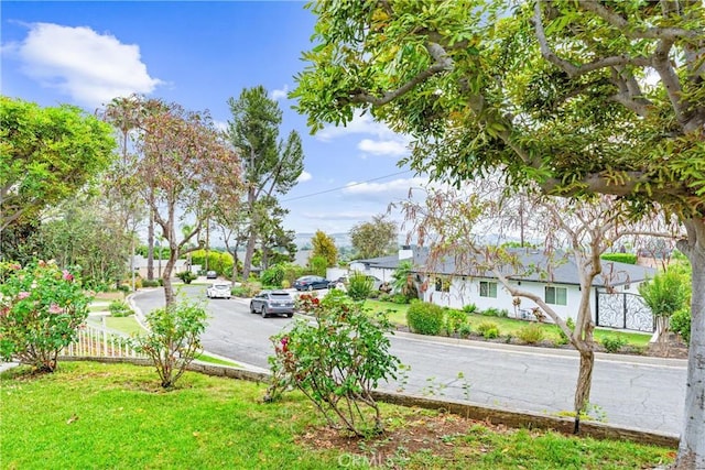 9818 Capulet Ave, Whittier, CA 90603 - view of yard