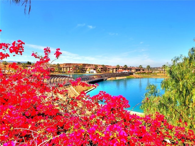 4304 Owens St Unit 102, Corona, CA 92883 - view of swimming pool