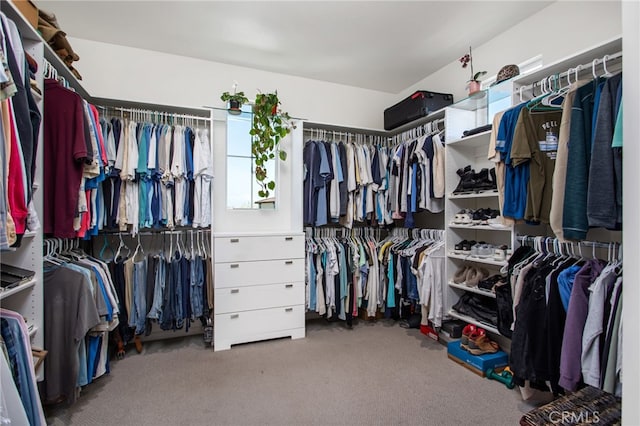 36275 Firelight Cir, Wildomar, CA 92595 - walk in closet featuring carpet