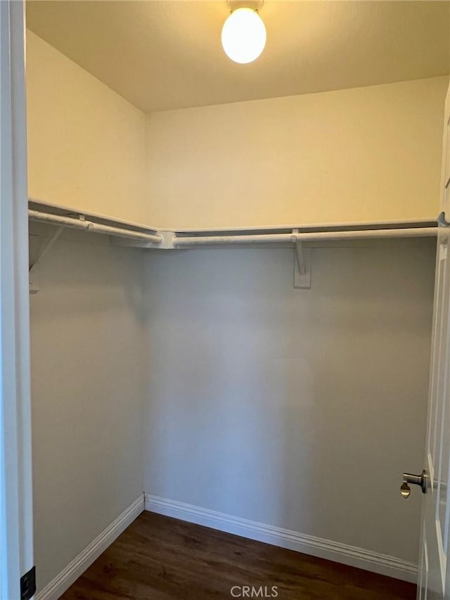 428 N Chapel Ave Unit B, Alhambra, CA 91801 - walk in closet with dark wood-type flooring