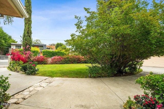 4959 Brewster Dr, Tarzana, CA 91356 - photo 7