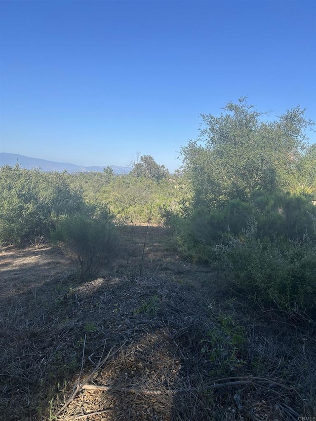 High Mountain Ln, Escondido, CA 92026 - photo 10