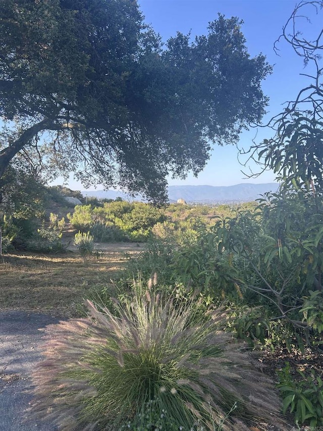 High Mountain Ln, Escondido, CA 92026 - photo 3