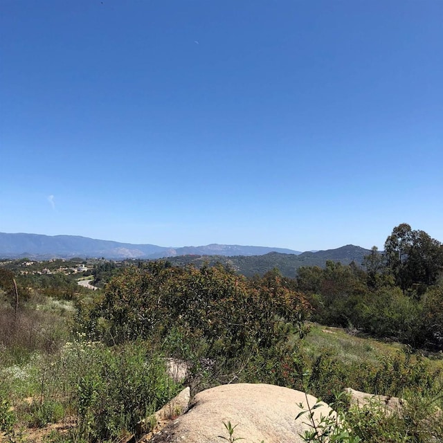 High Mountain Ln, Escondido, CA 92026 - photo 8