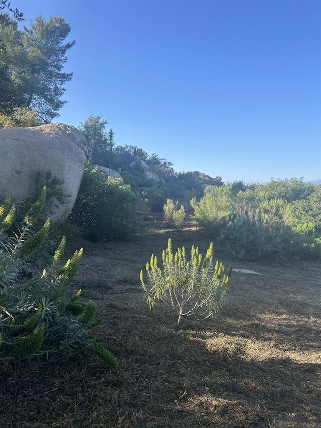 High Mountain Ln, Escondido, CA 92026 - photo 13