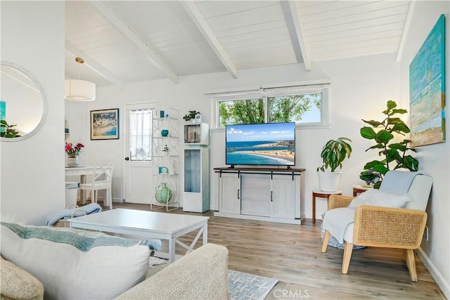 304 Dahlia Pl, Corona Del Mar, CA 92625 - living area featuring wood finished floors, wooden ceiling, and baseboards