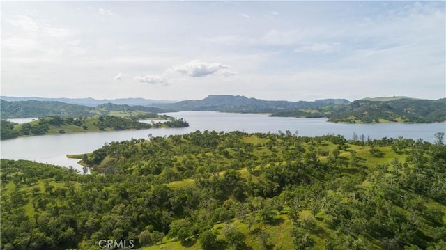 9886 Steelhead Rd, Paso Robles, CA 93446 - photo 32
