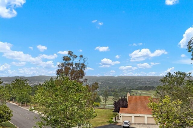 4014 Calle Sonora Oeste Unit 1G, Laguna Woods, CA 92637 - mountain view