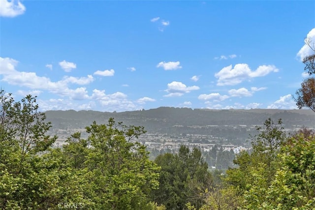 4014 Calle Sonora Oeste Unit 1G, Laguna Woods, CA 92637 - view of mountain backdrop