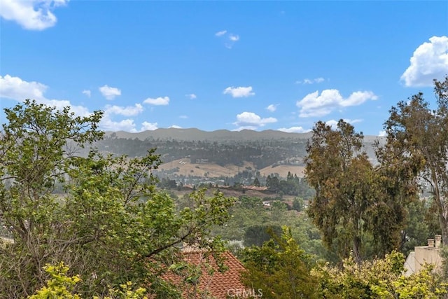 4014 Calle Sonora Oeste Unit 1G, Laguna Woods, CA 92637 - mountain view