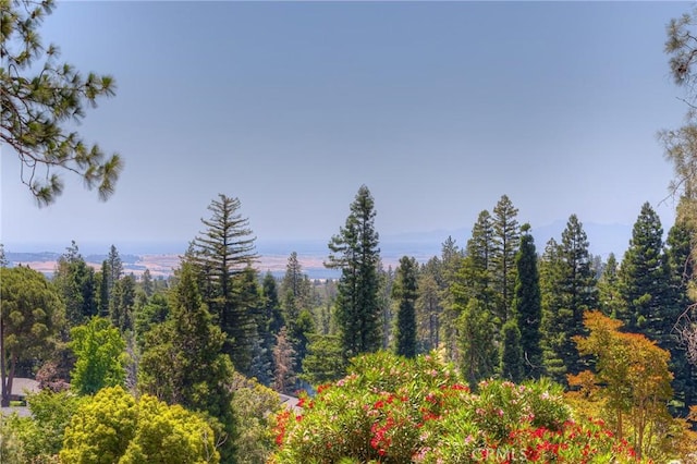 2381 Clearview Dr, Paradise, CA 95969 - view of tree filled area