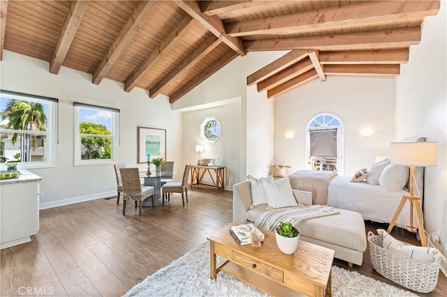 30781 Via Conquista, San Juan Capistrano, CA 92675 - photo 43