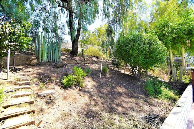29058 Rosewood Ln, Highland, CA 92346 - view of yard