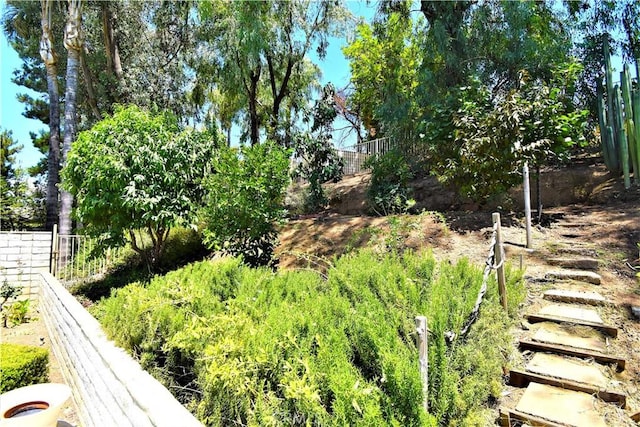 29058 Rosewood Ln, Highland, CA 92346 - view of yard