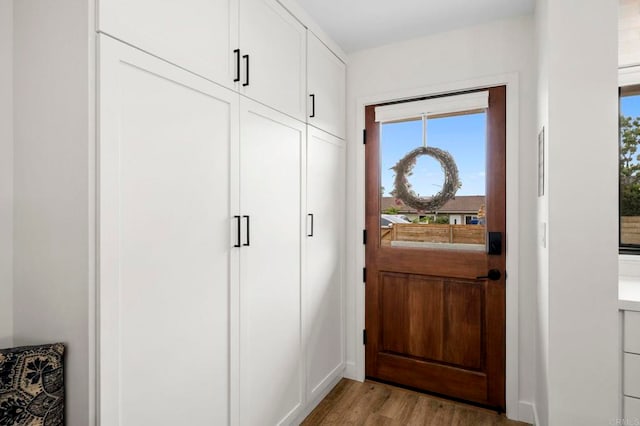 1125 Arcadia Rd, Encinitas, CA 92024 - foyer with light wood-style flooring and plenty of natural light