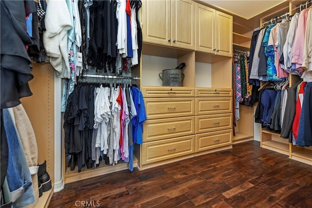 8581 Camino Limon Rd, Corona, CA 92883 - walk in closet with dark wood finished floors