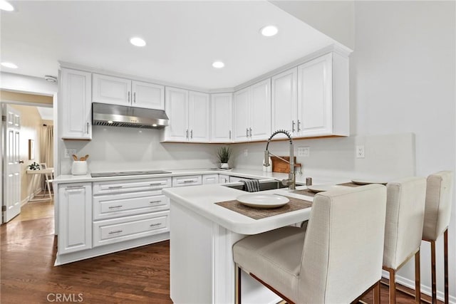 31 Aspen Way, Rolling Hills Estates, CA 90274 - kitchen with under cabinet range hood, black electric stovetop, white cabinetry, light countertops, and dark wood-style floors