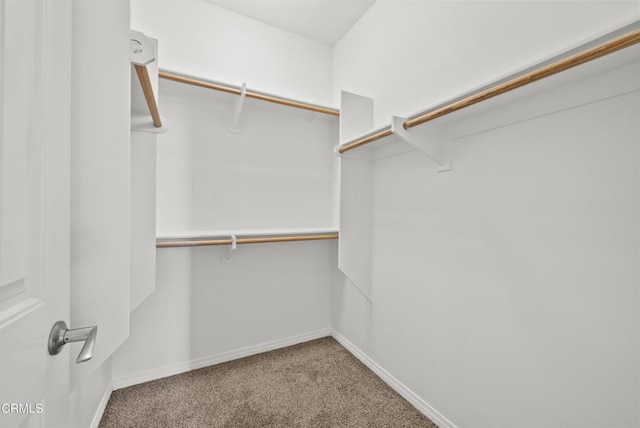 1542 Windshore Way, Oxnard, CA 93035 - walk in closet with carpet floors
