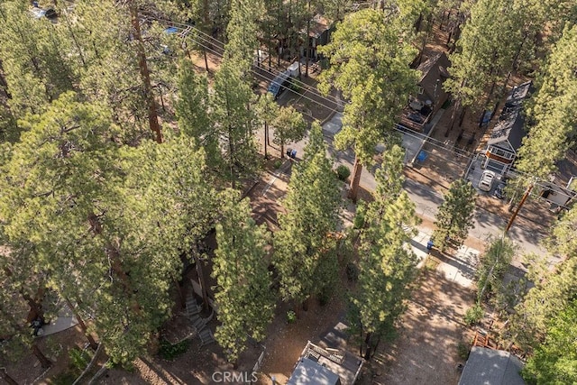 618 Sugarloaf Blvd, Big Bear City, CA 92314 - drone / aerial view