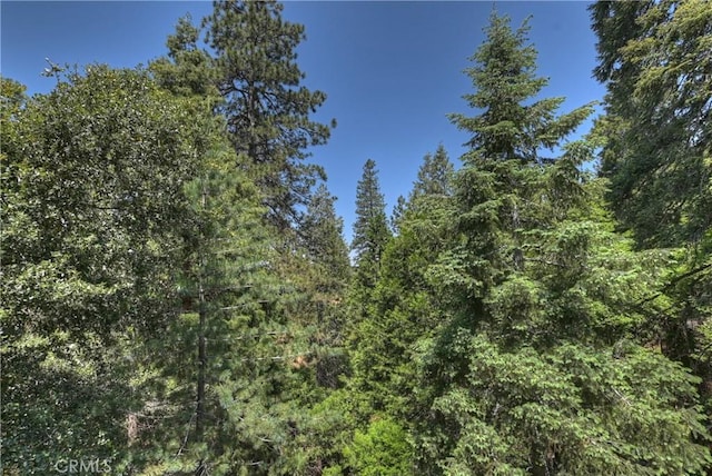 1100 Arbula Dr, Crestline, CA 92325 - photo 15