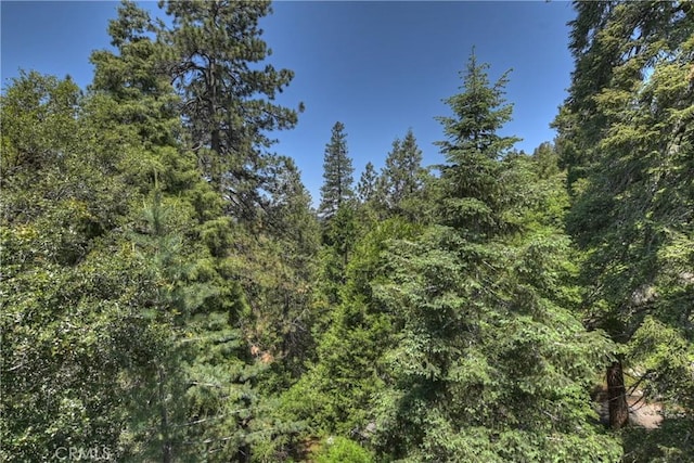 1100 Arbula Dr, Crestline, CA 92325 - photo 16