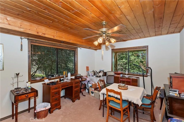 1100 Arbula Dr, Crestline, CA 92325 - photo 29