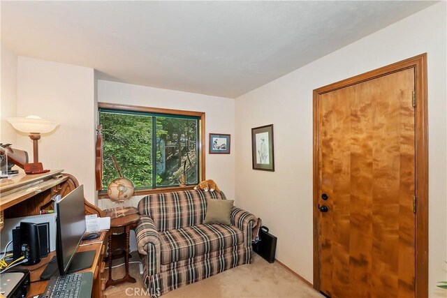 1100 Arbula Dr, Crestline, CA 92325 - photo 24