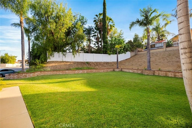 2424 Norte Vista Dr, Chino Hills, CA 91709 - view of yard