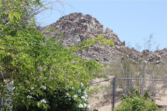 7117 Bonita Ave, Joshua Tree, CA 92252 - photo 3