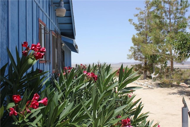 7117 Bonita Ave, Joshua Tree, CA 92252 - photo 42