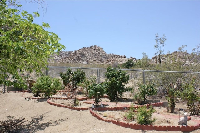 7117 Bonita Ave, Joshua Tree, CA 92252 - photo 45