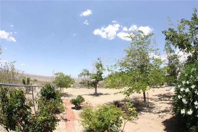 7117 Bonita Ave, Joshua Tree, CA 92252 - photo 46