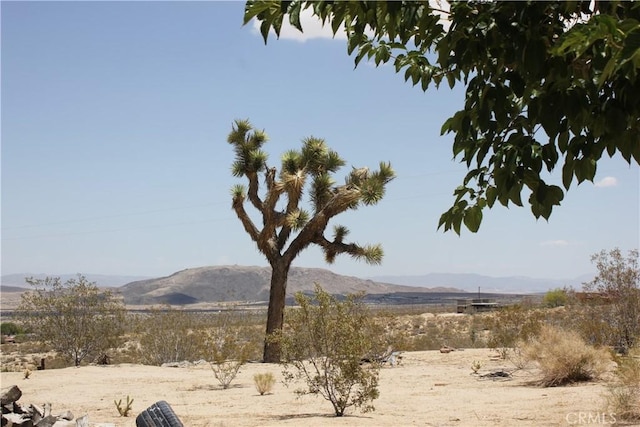 7117 Bonita Ave, Joshua Tree, CA 92252 - photo 49