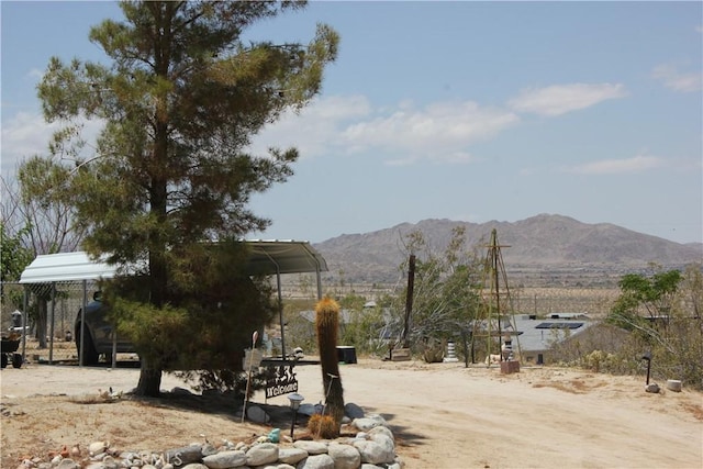 7117 Bonita Ave, Joshua Tree, CA 92252 - photo 12