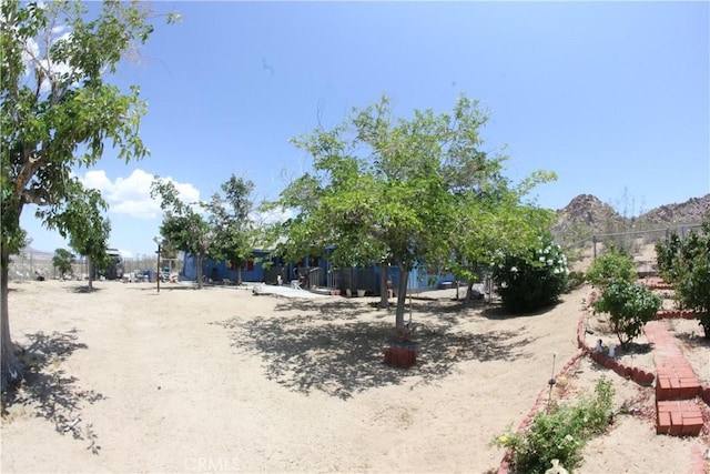 7117 Bonita Ave, Joshua Tree, CA 92252 - photo 61
