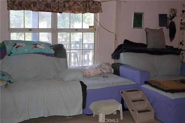 7117 Bonita Ave, Joshua Tree, CA 92252 - photo 23