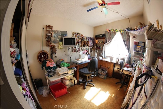 7117 Bonita Ave, Joshua Tree, CA 92252 - photo 31