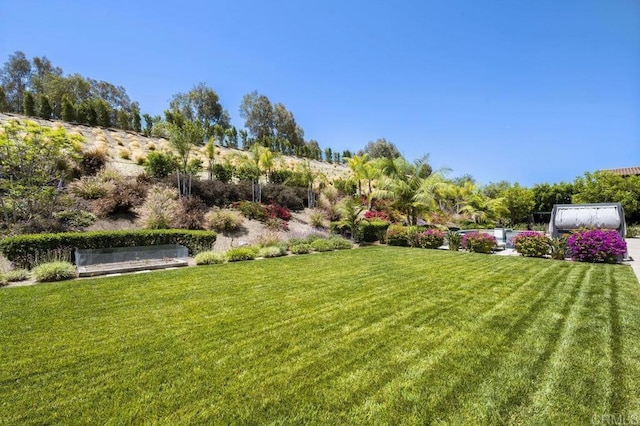 8115 Silverwind Dr, San Diego, CA 92127 - photo 49