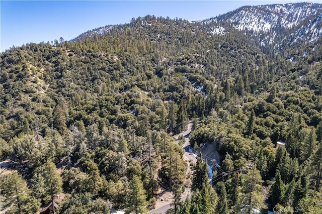 1300 Banff Dr, Pine Mountain Club, CA 93222 - photo 27