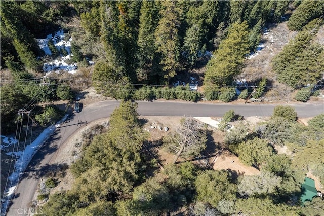 1300 Banff Dr, Pine Mountain Club, CA 93222 - photo 21