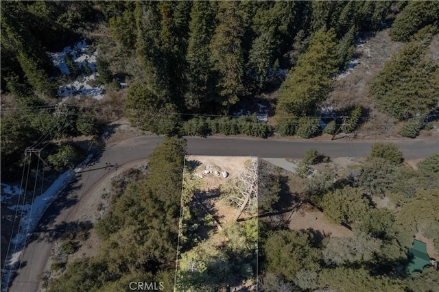 1300 Banff Dr, Pine Mountain Club, CA 93222 - photo 20