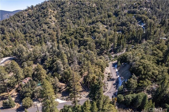 1300 Banff Dr, Pine Mountain Club, CA 93222 - photo 7