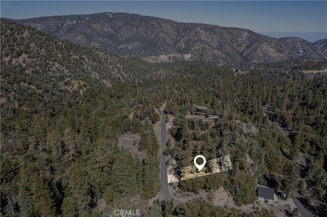 1300 Banff Dr, Pine Mountain Club, CA 93222 - photo 17