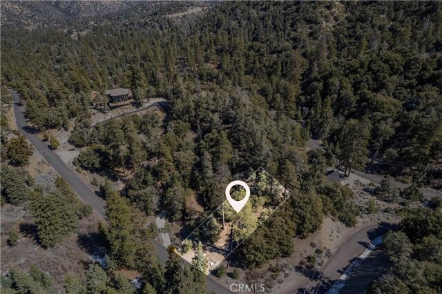 1300 Banff Dr, Pine Mountain Club, CA 93222 - photo 10