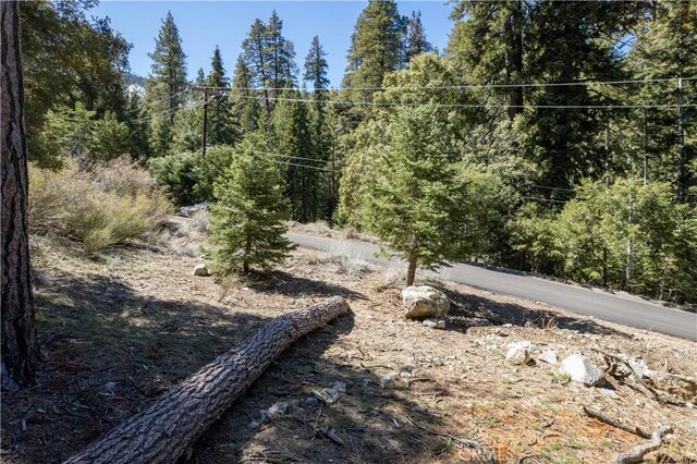 1300 Banff Dr, Pine Mountain Club, CA 93222 - photo 4